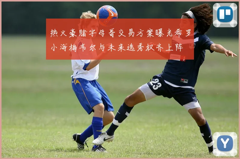热火豪赌字母哥交易方案曝光希罗小海梅韦尔与未来选秀权齐上阵